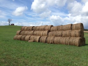 Esselstyn Farm 2016